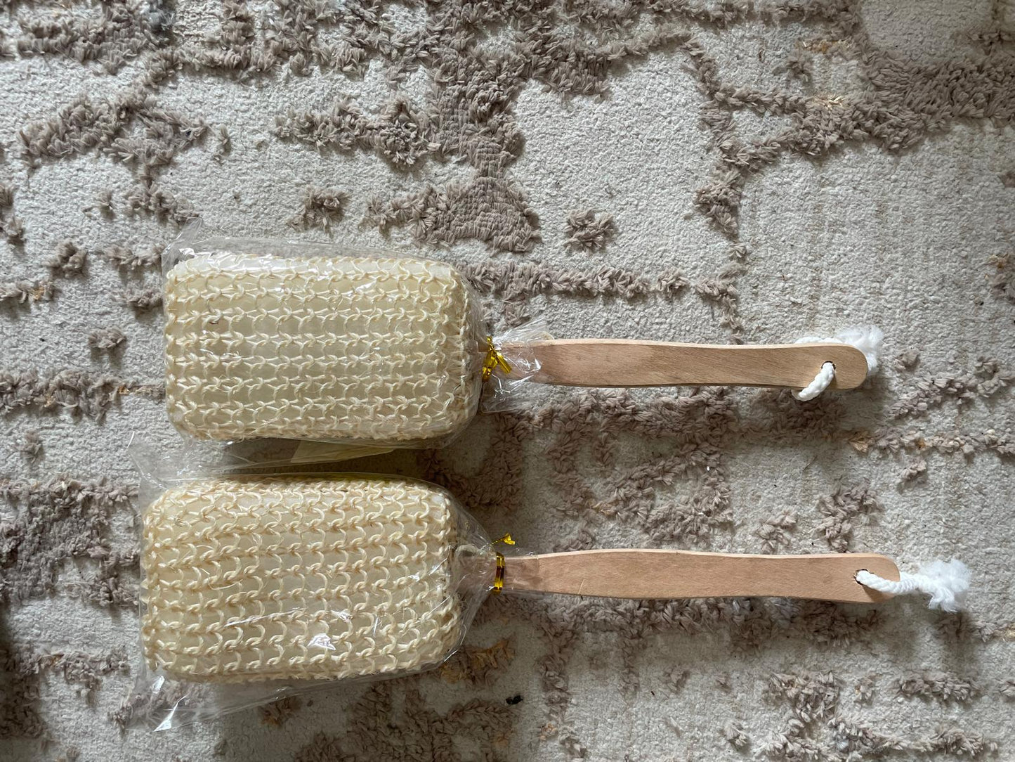 3 Brosses à dos en crin